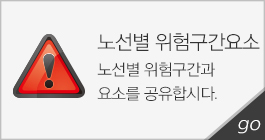 노선별위험구간요소